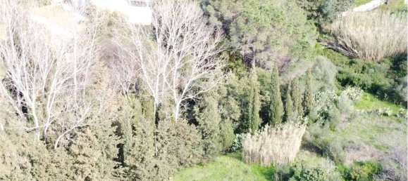 Terreno en Olbia, Italy 25000 m² No. 87504 50