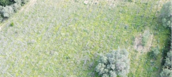 Terreno en Olbia, Italy 25000 m² No. 87504 39