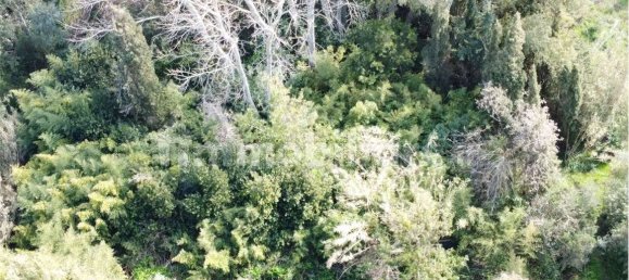 Terreno en Olbia, Italy 25000 m² No. 87504 9