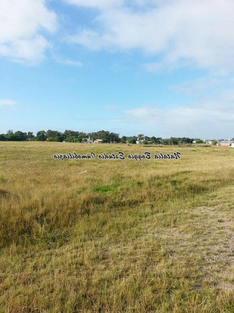 Terrain à Buenos Aires, Argentina No. 119981