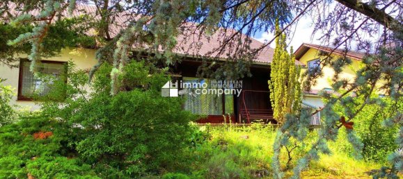 Casa de 4 habitaciónes en Purbach am Neusiedler See, Austria No. 180177 3