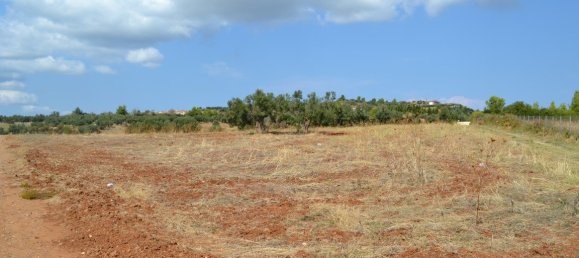 6616m² Hotel in Chalkidiki, Greece No. 6100 2