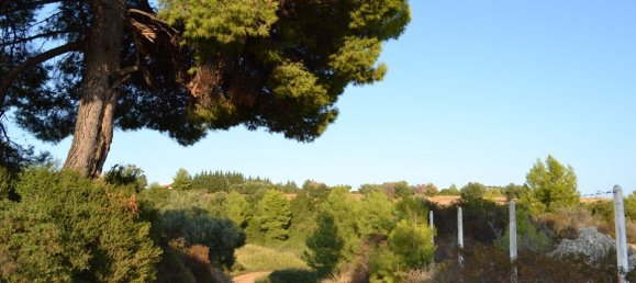 6616m² Hotel in Chalkidiki, Greece No. 6100 7