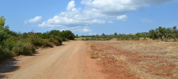 6616m² Hotel in Chalkidiki, Greece No. 6100 3