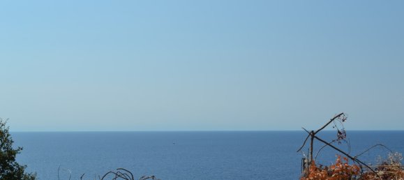 6616m² Hotel in Chalkidiki, Greece No. 6100 6