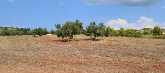 6616m² Hotel in Chalkidiki, Greece No. 6100 4