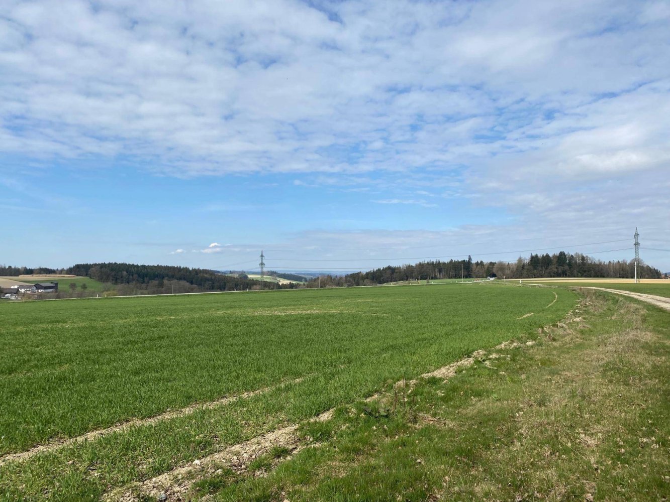 Grundstück in Taiskirchen im Innkreis, Austria 14339m², Nr. 199022
