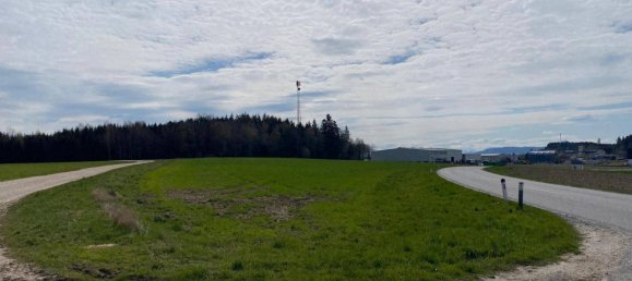 Grundstück in Taiskirchen im Innkreis, Austria 14339m², Nr. 199022 3