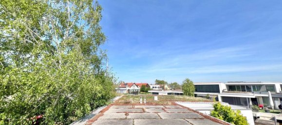 6 rooms Villa in Neusiedl am See, Austria No. 241101 22