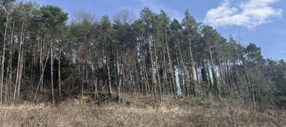 4492m² Land in Walpersbach, Austria No. 148479 3