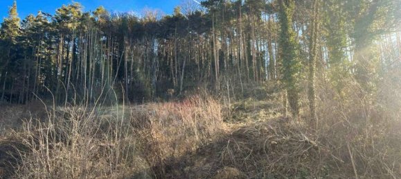 4492m² Land in Walpersbach, Austria No. 148479 6