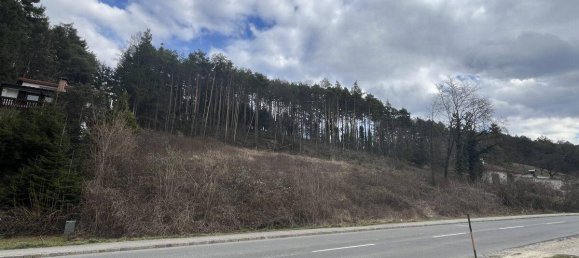 4492m² Land in Walpersbach, Austria No. 148479 5