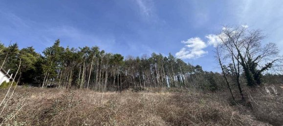 4492m² Land in Walpersbach, Austria No. 148479 4