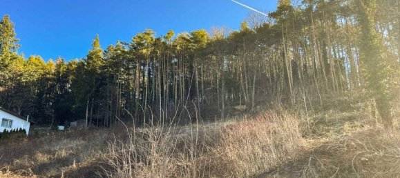 4492m² Land in Walpersbach, Austria No. 148479 7