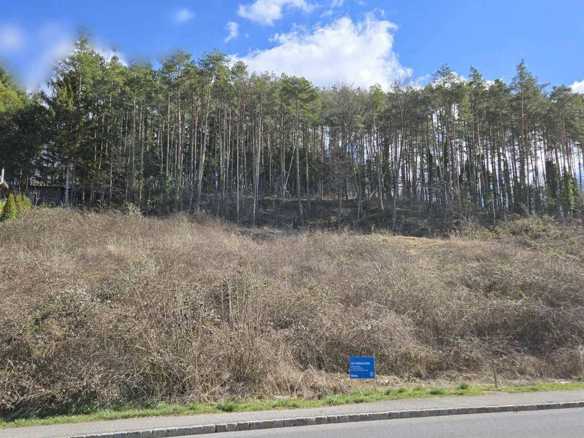 4492m² Land in Walpersbach, Austria No. 148479