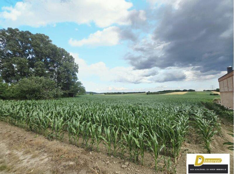 Terreno en Leobendorf, Austria 1001 m² No. 153290