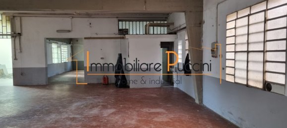 340m² Warehouse in Campi Bisenzio, Italy No. 140103 3