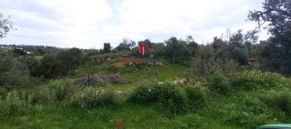 Grundstück in Guia, Portugal 2000m², Nr. 10076 8