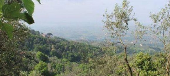 4 rooms House in Vinci, Italy No. 63988 16