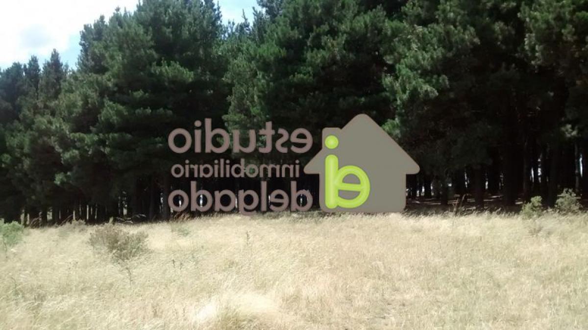 10m² Land in Buenos Aires, Argentina No. 115271