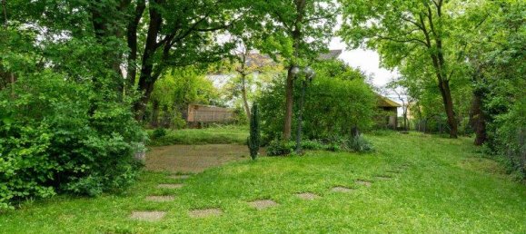 8 rooms House in Wiener Neustadt, Austria No. 157259 10