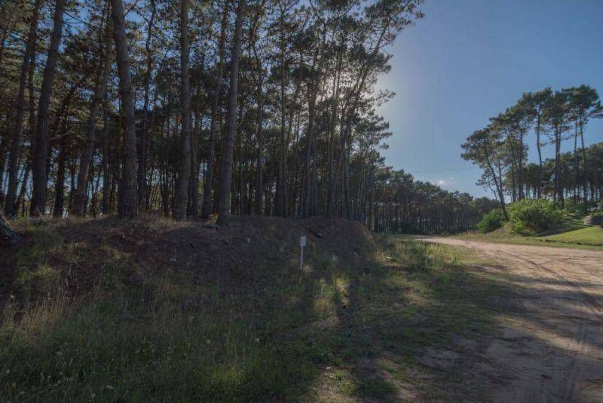  Land in Mar del Plata, Argentina No. 120625