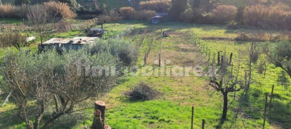 1 Schlafzimmer Haus in Monterotondo, Italy, Nr. 215971 17