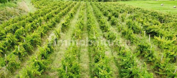 Grundstück in Udine, Italy 26640m², Nr. 288961 6