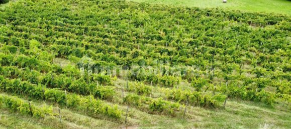 Grundstück in Udine, Italy 26640m², Nr. 288961 5