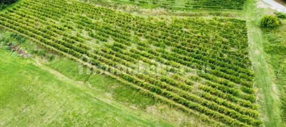 Grundstück in Udine, Italy 26640m², Nr. 288961 2