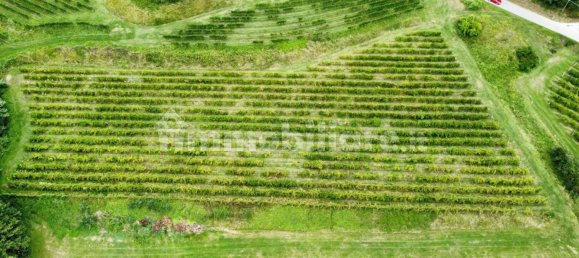 Grundstück in Udine, Italy 26640m², Nr. 288961 3