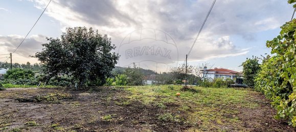 5 bedrooms House in Quinchaes, Portugal No. 174102 42