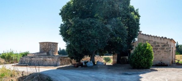 8 bedrooms House in Muro, Spain No. 155382 19