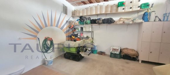 5 bedrooms House in Salares, Spain No. 184223 21