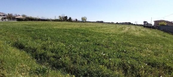 5440m² Land in San Giuliano Terme, Italy No. 131129 2