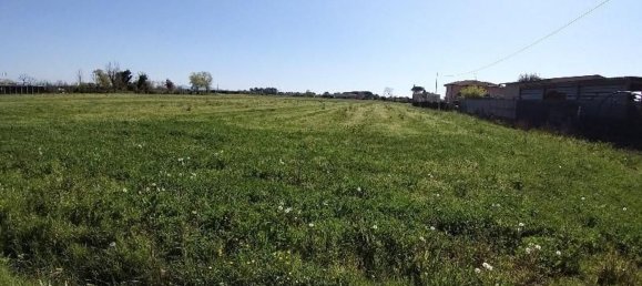5440m² Land in San Giuliano Terme, Italy No. 131129 3