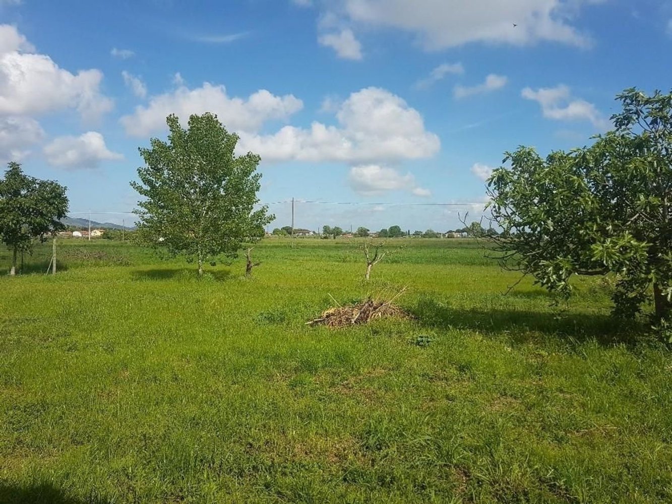5440m² Land in San Giuliano Terme, Italy No. 131129