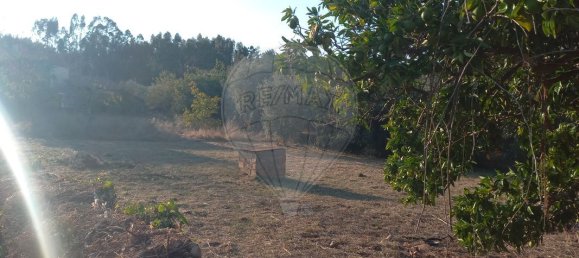 4 Schlafzimmer Haus in Alvaiazere, Portugal, Nr. 28513 18
