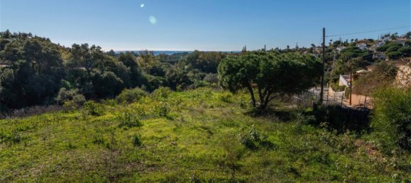 1560m² Land in Marbella, Spain No. 165975 4