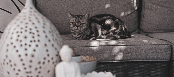 Moradia em banda T4 em Mayen-Koblenz, Germany N.º 303370 26