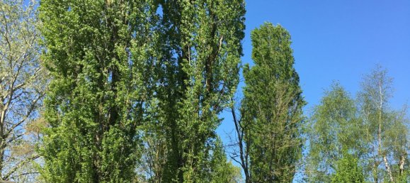 4 chambres Châteaux à Marmagne, France No. 61946 7