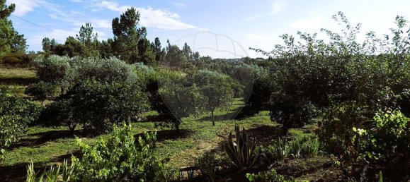 Casa T6 em Tomar, Portugal N.º 70746 18