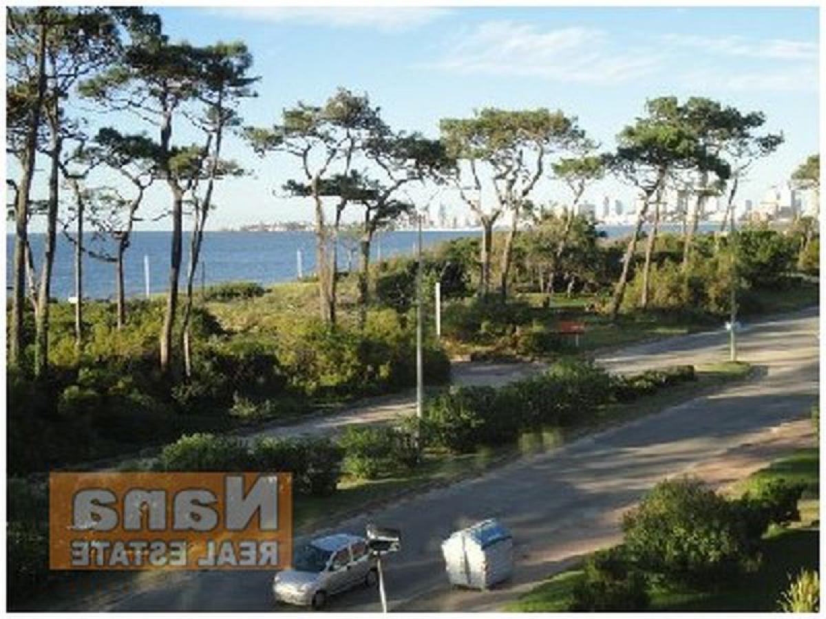 3 chambres Appartement à Maldonado, Uruguay No. 4868