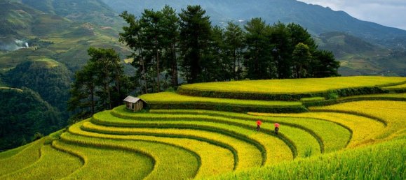 14 bedrooms Villa in Montegridolfo, Italy No. 343971 12