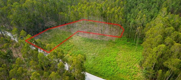 Grundstück in Pombal, Portugal 2270m², Nr. 64117 21