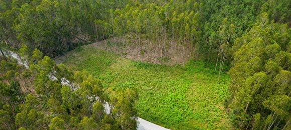 Grundstück in Pombal, Portugal 2270m², Nr. 64117 4