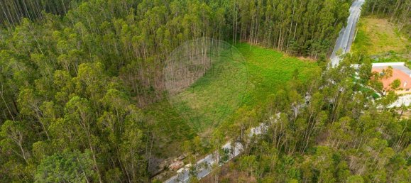 Grundstück in Pombal, Portugal 2270m², Nr. 64117 2