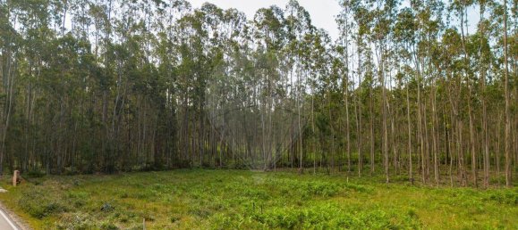 Grundstück in Pombal, Portugal 2270m², Nr. 64117 6