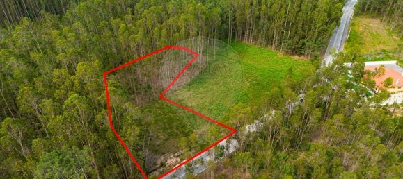 Grundstück in Pombal, Portugal 2270m², Nr. 64117 15