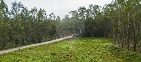Grundstück in Pombal, Portugal 2270m², Nr. 64117 23